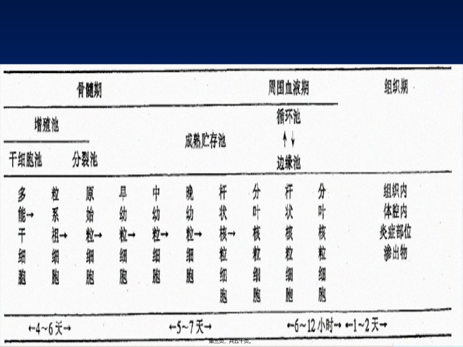 2022年医学专题—白细胞减少症及粒细胞缺乏症.ppt_第3页