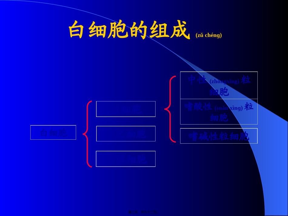 2022年医学专题—白细胞检查.ppt_第3页