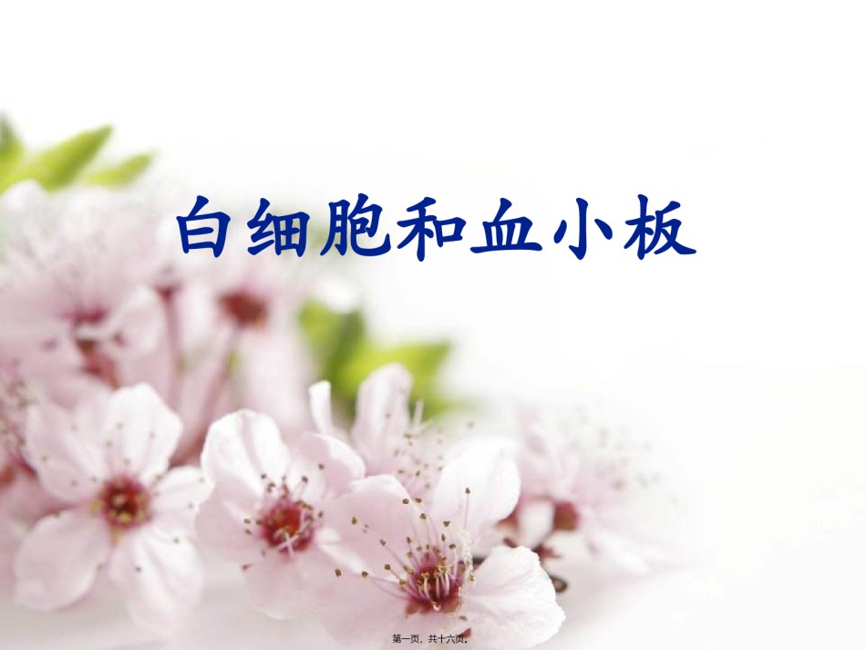 2022年医学专题—白细胞与血小板.ppt_第1页