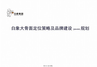 2022年医学专题—白象大骨品牌定位.ppt