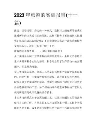 2023年旅游的实训报告(十一篇)