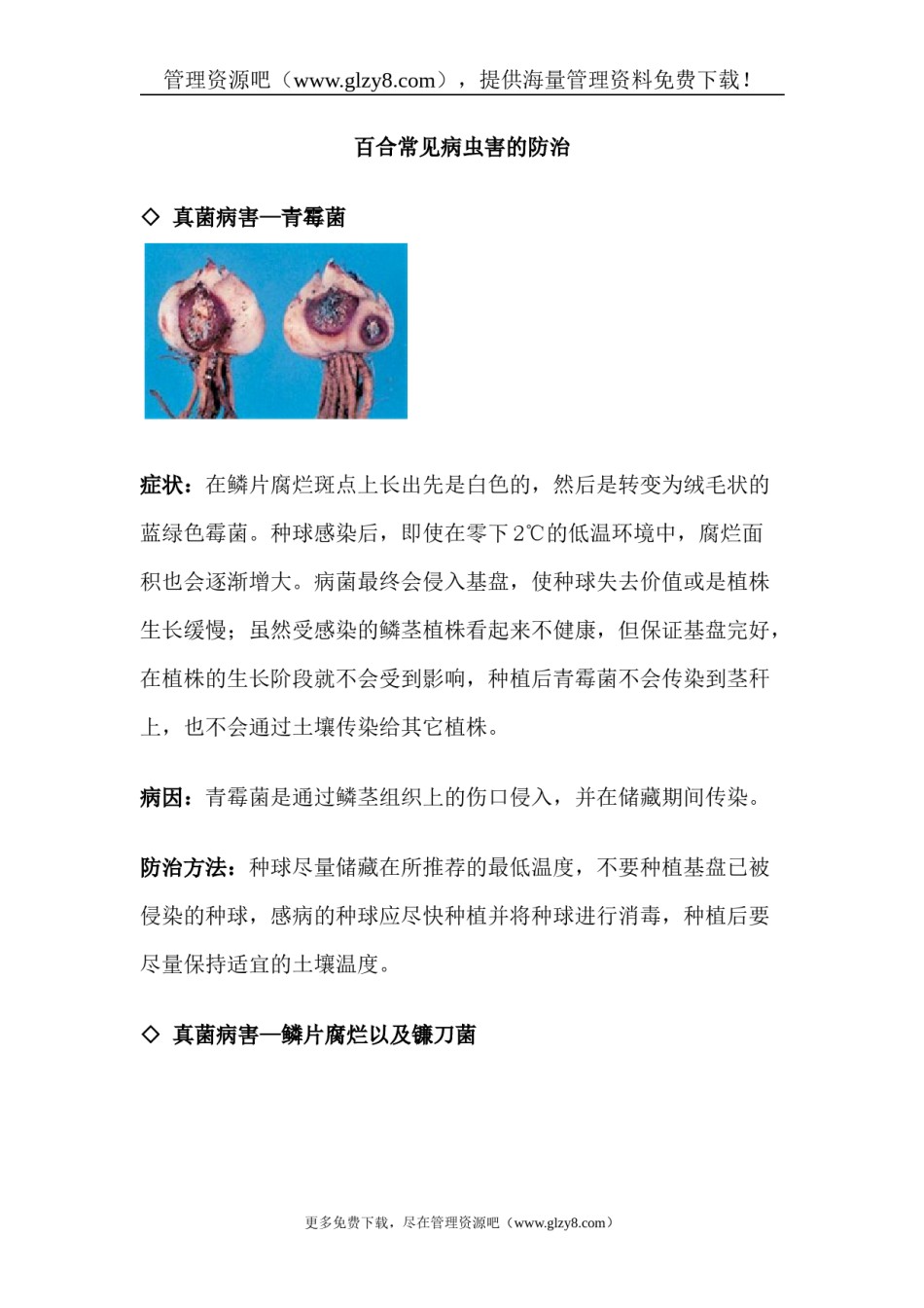 2022年医学专题—百合常见病虫害的防治.docx_第1页