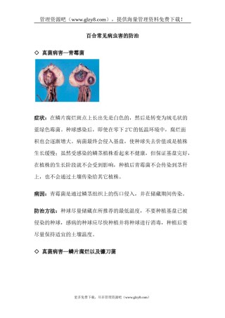 2022年医学专题—百合常见病虫害的防治.docx