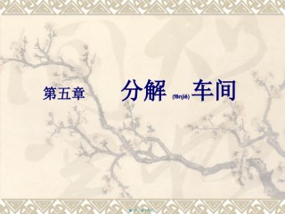 2022年医学专题—拜耳法生产氧化铝05分解车间-sn.ppt