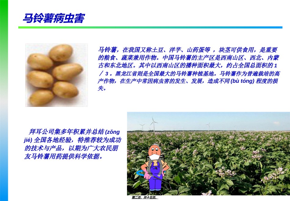 2022年医学专题—拜耳马铃薯病虫害防治技术.ppt_第2页