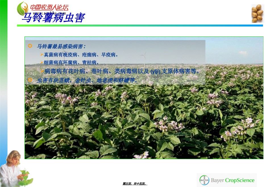 2022年医学专题—拜耳马铃薯病虫害防治技术.ppt_第3页