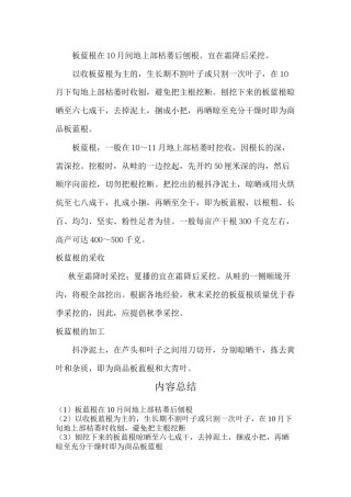 2022年医学专题—板蓝根的采收.docx