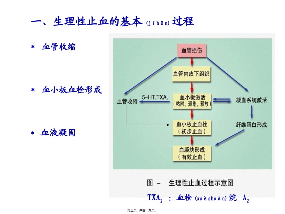 2022年医学专题—版本科-血液2.ppt_第3页