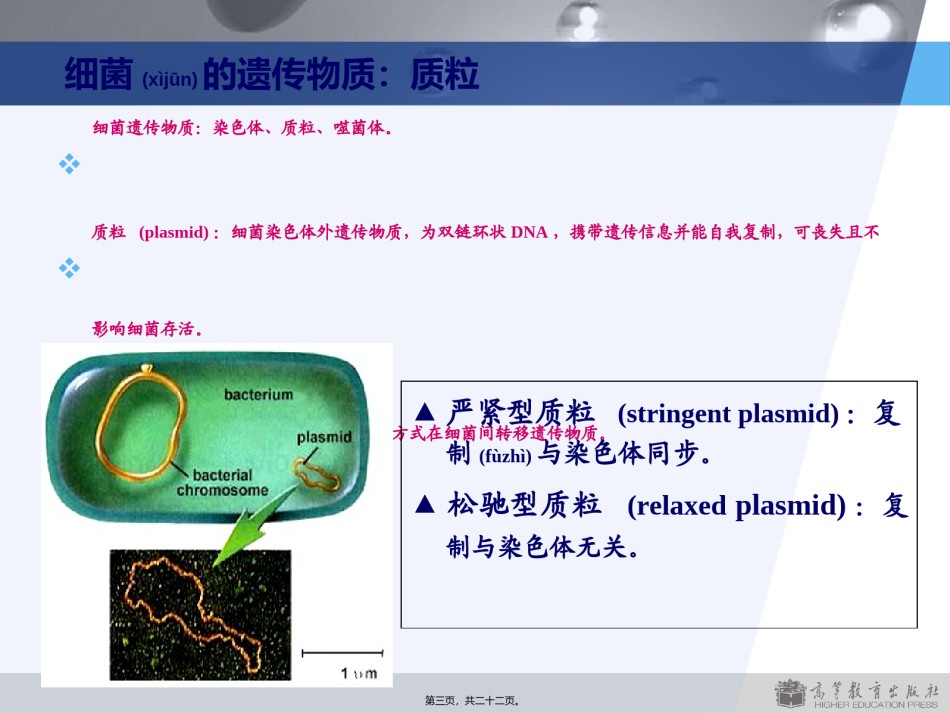 2022年医学专题—版第2章细菌的遗传与变异.ppt_第3页