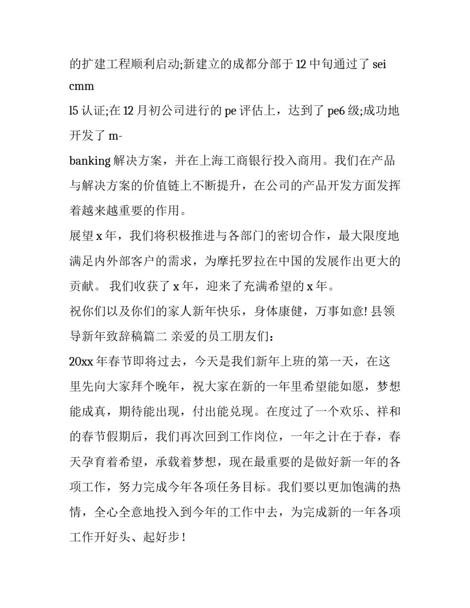 县领导新年致辞稿(优秀10篇)_第3页