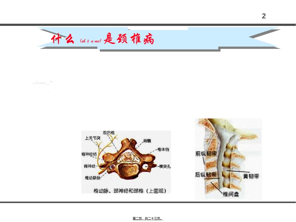 2022年医学专题—办公室人员怎样防止颈椎病讲解.ppt_第2页