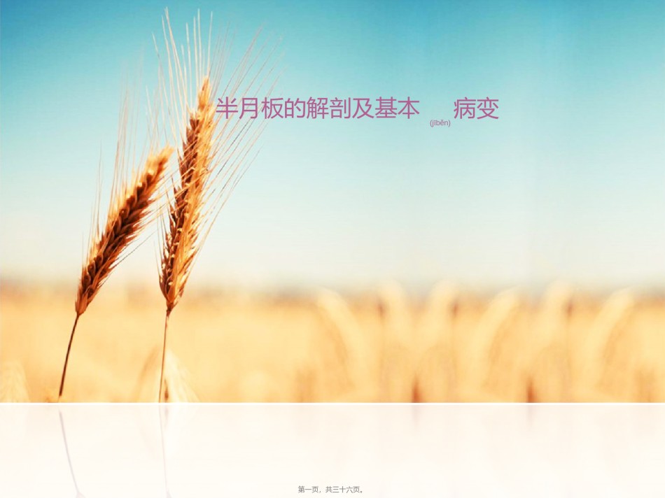 2022年医学专题—半月板损伤.ppt_第1页