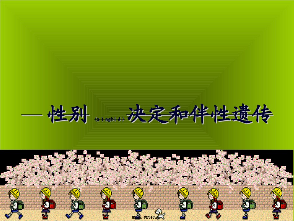 2022年医学专题—伴Y染色体遗传病外耳道多毛症2.ppt_第1页