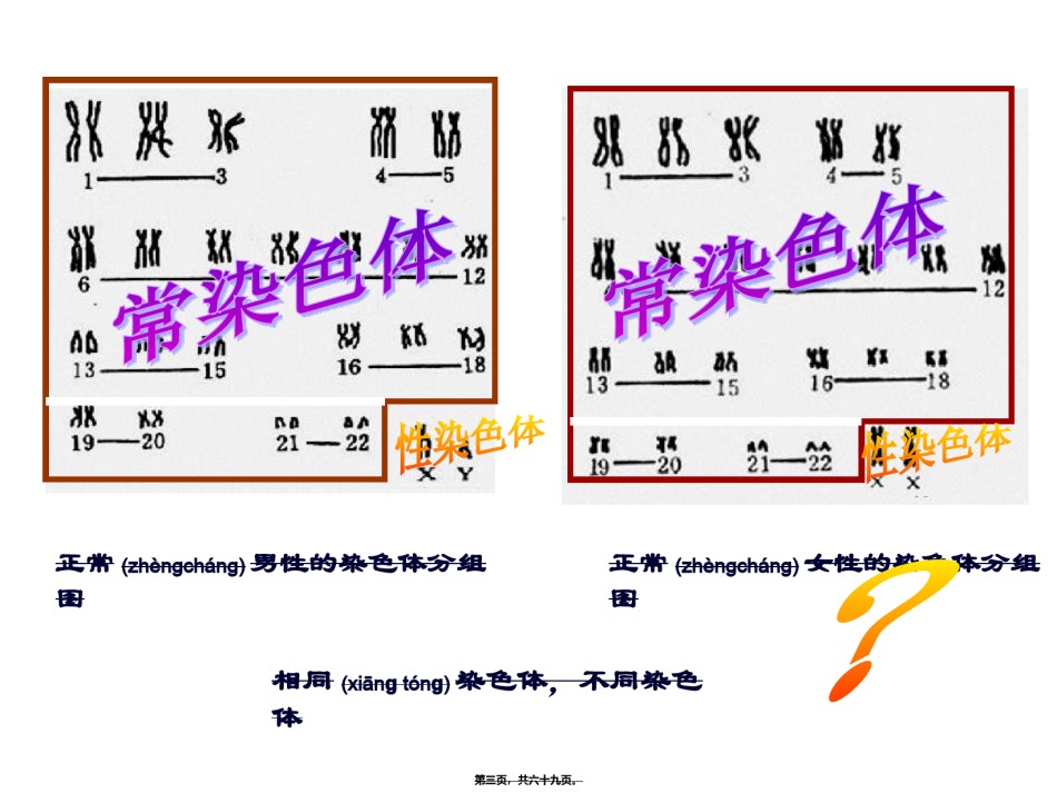 2022年医学专题—伴Y染色体遗传病外耳道多毛症2.ppt_第3页