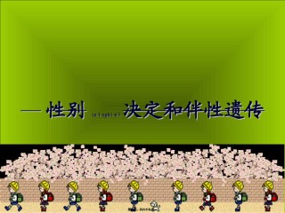 2022年医学专题—伴Y染色体遗传病外耳道多毛症2.ppt
