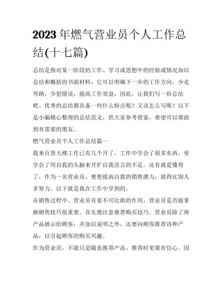 2023年燃气营业员个人工作总结(十七篇)