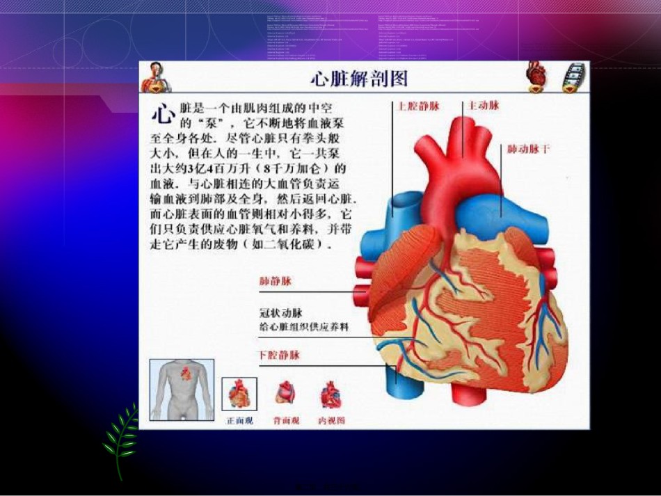 2022年医学专题—瓣膜替换术的术中配合.ppt_第2页