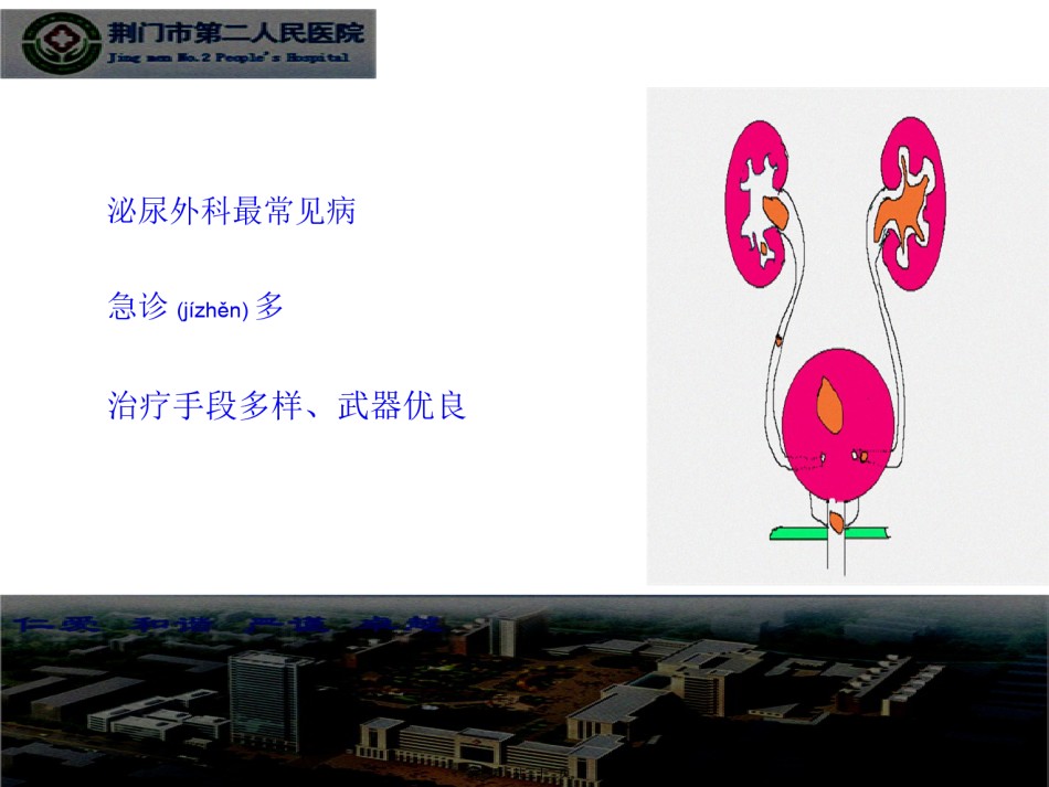 2022年医学专题—膀胱结石尿道结石.ppt_第2页