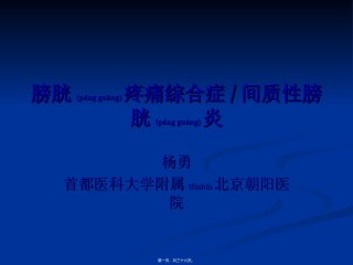 2022年医学专题—膀胱疼痛综合症间质性膀胱炎上海第二医科大学..ppt