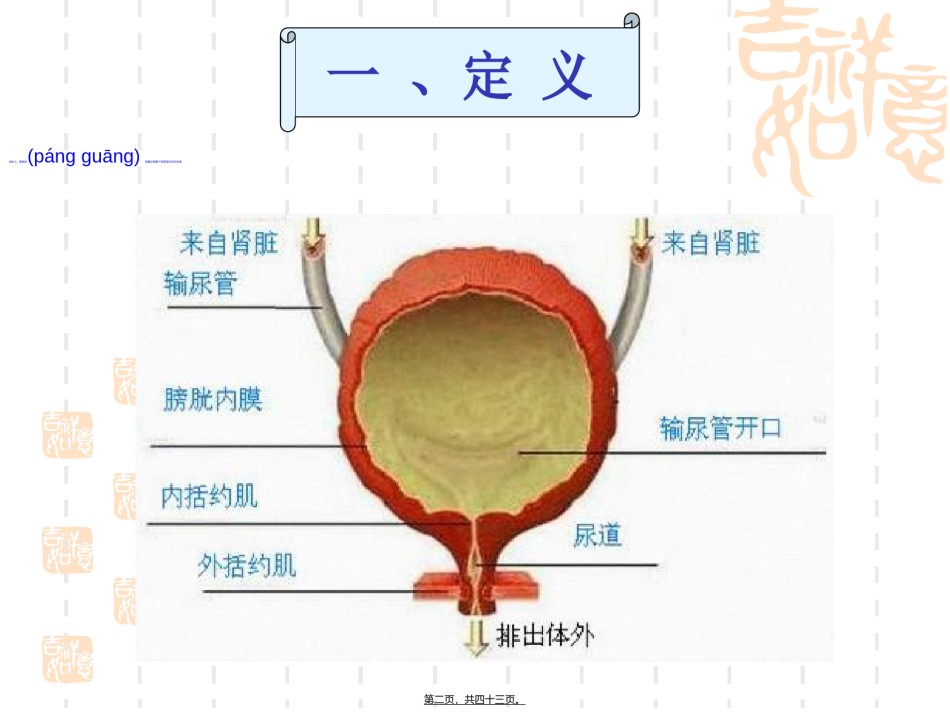 2022年医学专题—膀胱炎模型建立与诊疗.ppt_第2页