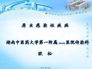 2022年医学专题—包囊cyst滋养体在不良条件下分泌外壁.ppt