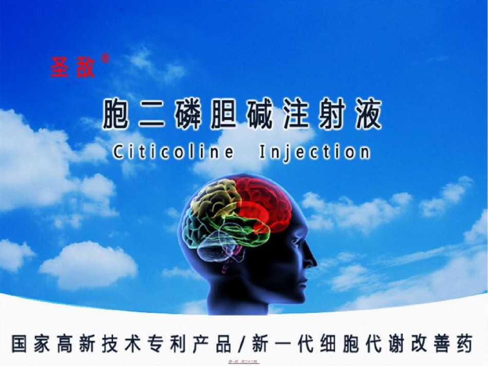 2022年医学专题—胞二磷胆碱注射液...ppt_第1页