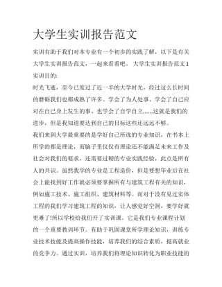 大学生实训报告范文