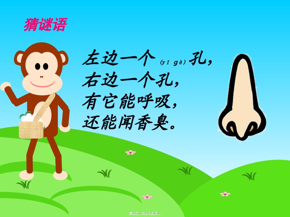 2022年医学专题—保护鼻子.ppt_第2页