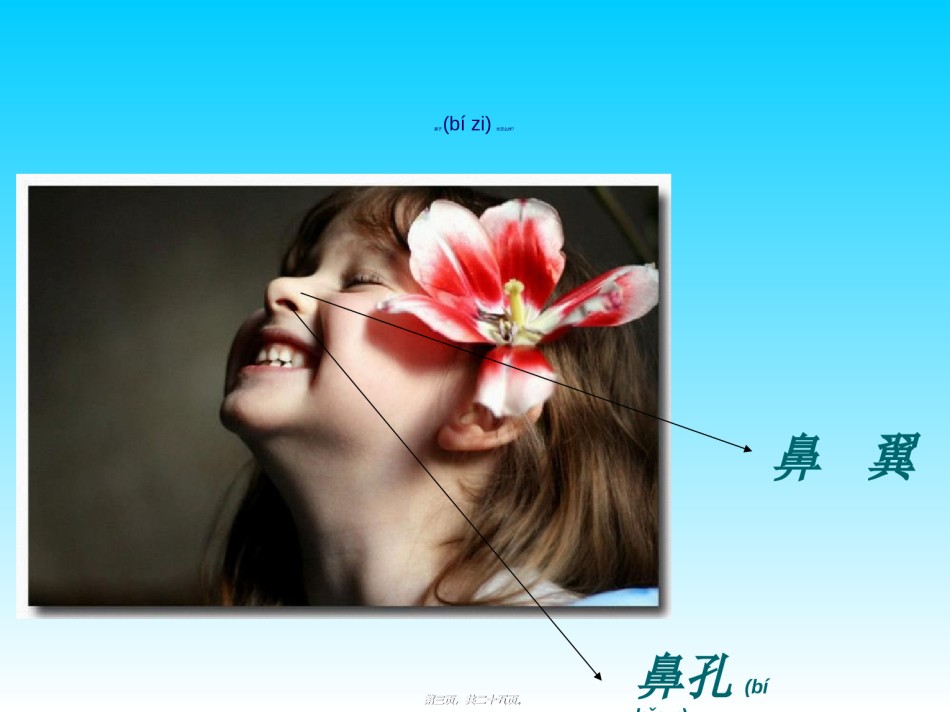 2022年医学专题—保护鼻子.ppt_第3页