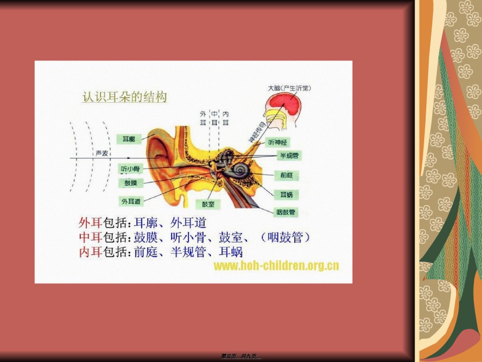 2022年医学专题—保护耳朵.ppt_第3页
