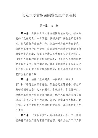 2022年医学专题—北京大学首钢医院安全生产责任制(DOC).docx