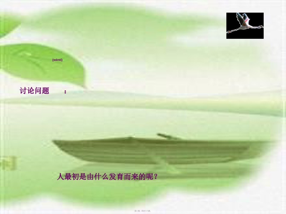 2022年医学专题—北师大版体细胞的分裂.ppt_第1页
