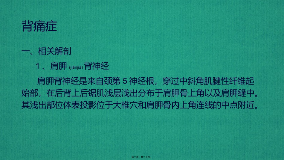2022年医学专题—背痛症.pptx_第2页