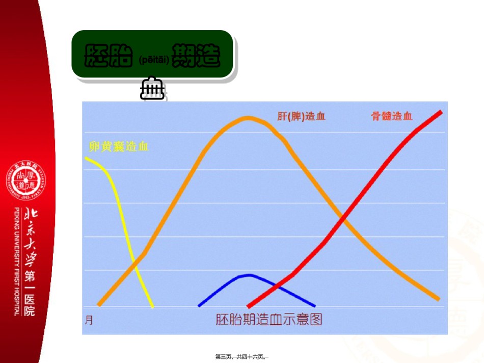 2022年医学专题—本科-造血特点-ALL-ITP-2013-B.ppt_第3页