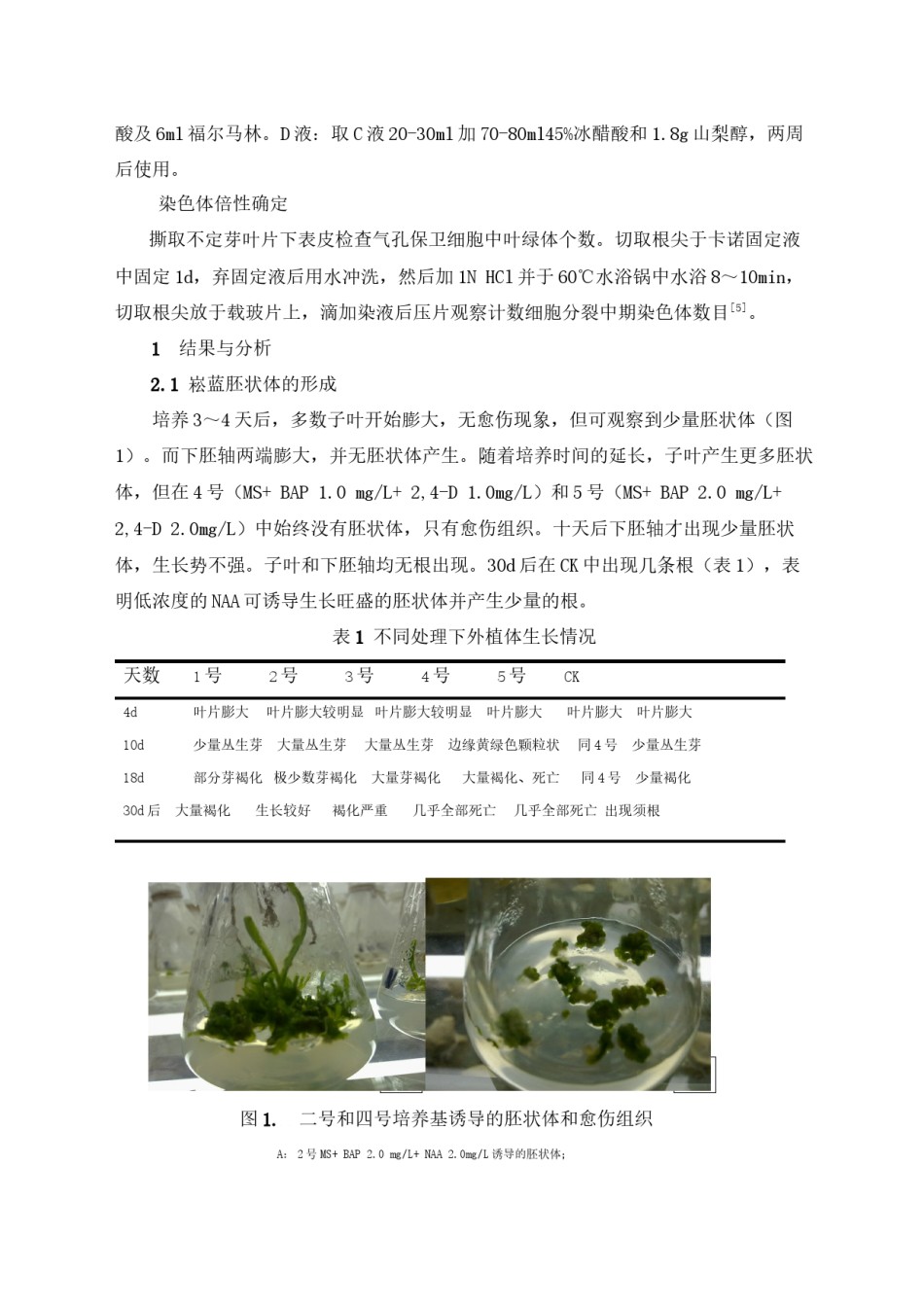2022年医学专题—本科论文菘蓝体细胞染色体加倍的研究.docx_第3页