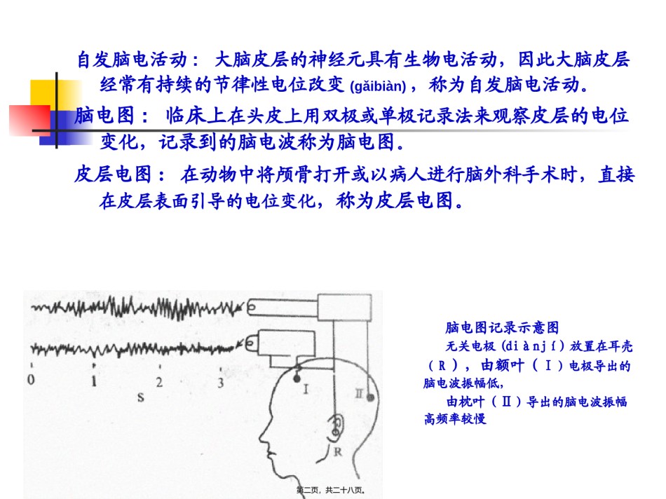 2022年医学专题—本科生课程-9-神经系统高级功能脑电图睡眠与觉醒剖析.ppt_第2页