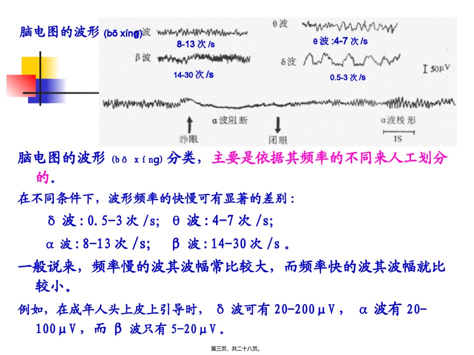 2022年医学专题—本科生课程-9-神经系统高级功能脑电图睡眠与觉醒剖析.ppt_第3页