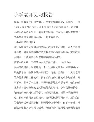 小学老师见习报告