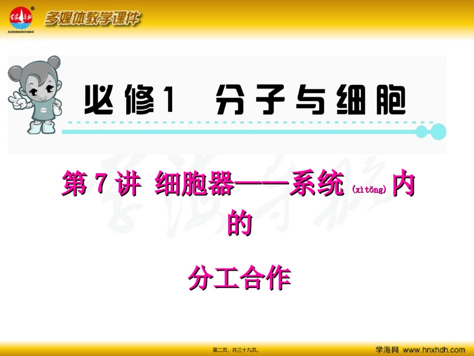 2022年医学专题—必修1--第7讲-细胞器——系统内的分工合作.ppt_第2页