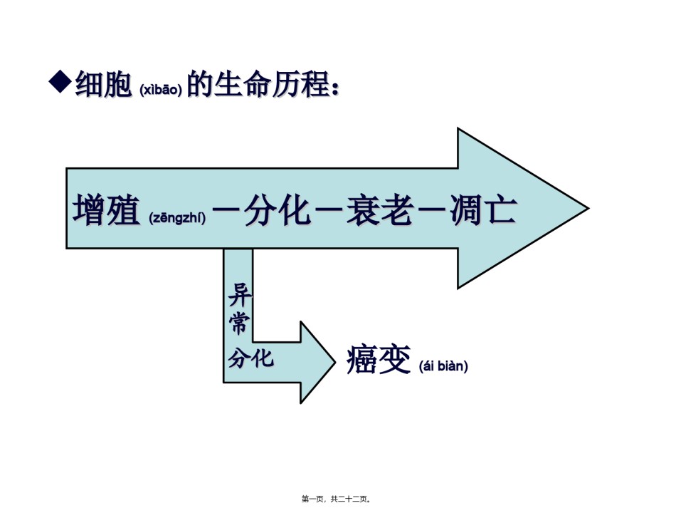2022年医学专题—必修1-6-2细胞的分化、衰老、凋亡、癌变2.ppt_第1页