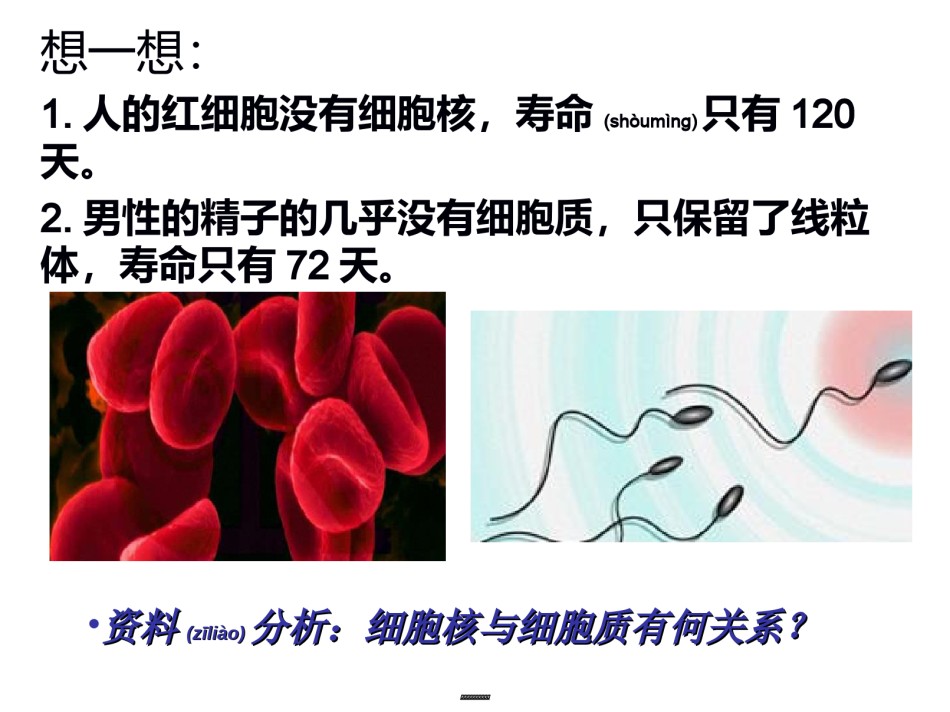 2022年医学专题—必修1-第2章--细胞核的结构和功能(23张PPT)---副本.ppt_第3页