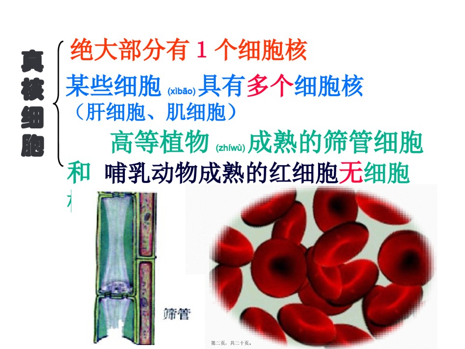 2022年医学专题—必修1-第3章-第3节-细胞核.pptx_第2页