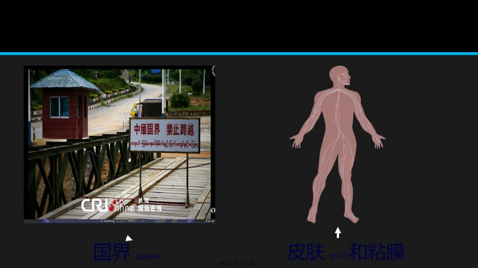 2022年医学专题—必修1-分子与细胞-第1节-细胞膜──系统的边界.pptx_第2页