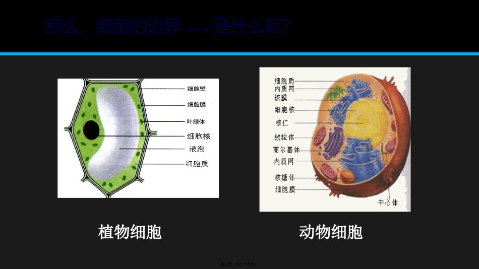 2022年医学专题—必修1-分子与细胞-第1节-细胞膜──系统的边界.pptx_第3页