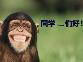 2022年医学专题—必修1-分子与细胞-第2节-生命活动的主要承担者.ppt