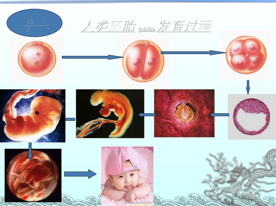 2022年医学专题—必修1-分子与细胞-第2节-细胞的分化.ppt_第1页