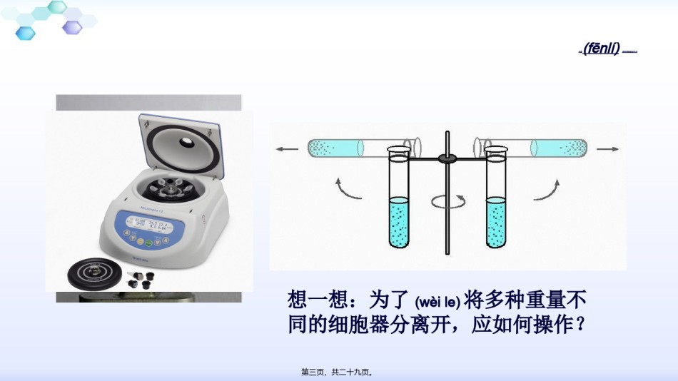 2022年医学专题—必修1-分子与细胞-第2节-细胞器──系统内的分工合作.ppt_第3页