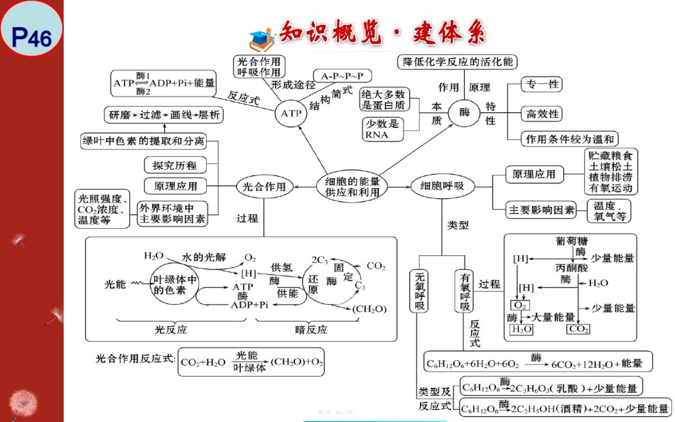 2022年医学专题—必修1-细胞的能量供应和利用.ppt_第2页