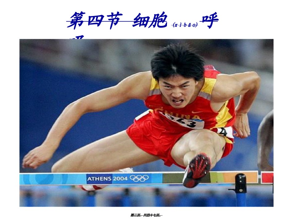 2022年医学专题—必修1、3-4、细胞呼吸..ppt_第2页