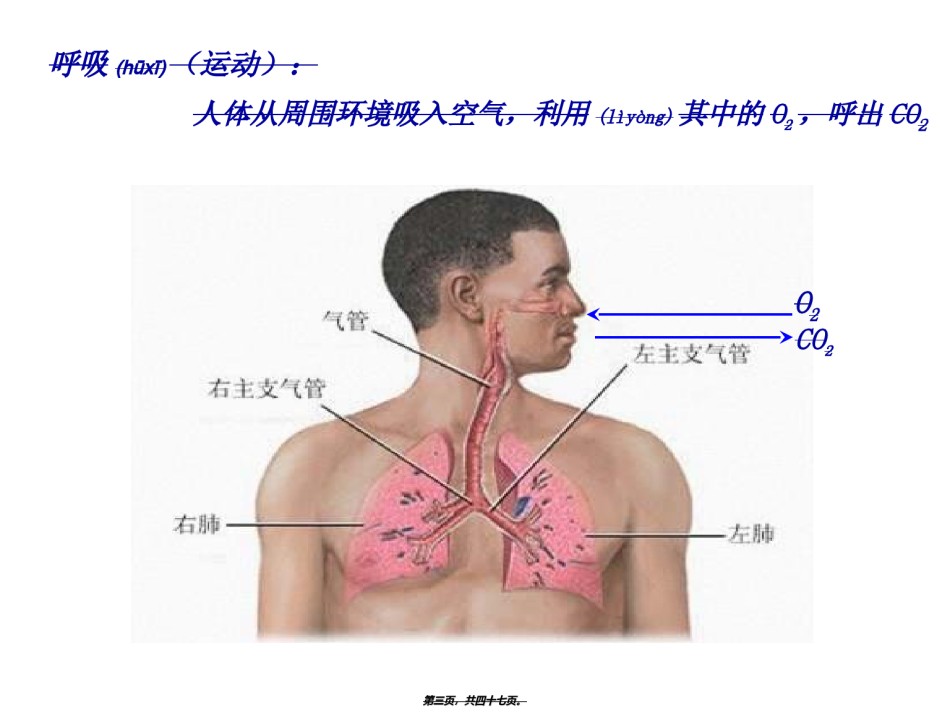 2022年医学专题—必修1、3-4、细胞呼吸..ppt_第3页